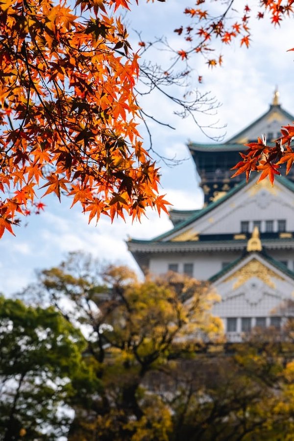 Les richesses de la région Kansai avec un JR Pass : 18 jours à Osaka, Kyoto, Kobe et Nara