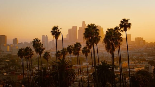 Los Angeles : Activités, attractions uniques et points de vue spectaculaires